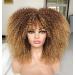 Anivia 16 inch curly wigs for women afro curly wig with pony synthetic fiber gluedless long confused curly hair (ombre blond)
