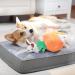 Amazon Basics Hide and Seek Squeaky Dog Plush Toy Rabbit and Carrot Orange and White 5 Count - Buy Online on GoSupps.com