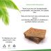 Biodegradable Natural Coconut Fiber and Rubber Latex Kitchen Scouring Pads Compostable Eco-Friendly Scrubber Non-Scratch Plastic-Free Scrubbers for Dishes and Cleaning 6 Pack - Buy Online on GoSupps.com