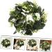 LIFKICH Wreath Planta Artificial Faux Greenery Artificial Eucalyptus Garland Holiday Window Hanging Eucalyptus Leaves Garland Faux Plants Fall Garland or Artificial Grass Daisy White White 30X30CM - Buy Online on GoSupps.com