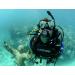 Cressi Intense Use Scuba Diving Regulator | AC2/Compact | Made in Italy - Buy Online on GoSupps.com