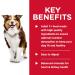 Hill's Science Diet Adult Sensitive Stomach & Skin Canned Dog Food 12.8 oz 12 Pack wet dog food & Senior 7+ Canned Dog Food Savory Stew - Buy Online on GoSupps.com