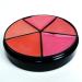 Pure Ziva Natural Nude Pink & Beige Lipstick Palette - 5 Shades, Moisturizing & Paraben-Free - Buy Online on GoSupps.com