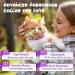 FRDUGA Calming Collar for Cats Cat Calming Collar All New Calming Pheromone Collar for Cats Cat Pheromone Collar Cat Calming Collar for Anxiety Efficient Relieve Anxiety and Stress (4 PCS) - Buy Online on GoSupps.com