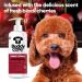 Black Cherry Dog Shampoo | BuddyCare - Deep Cleaning Fruity Fragrance Aloe Vera & Pro-Vitamin B5 (500ml) - International Shipping Available - Buy Online on GoSupps.com