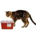 Oakridge Sharps Container 1 Gallon (2 Pack) with Rotating Lid - Easy-to-Use Design - Buy Online on GoSupps.com