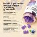 High Prebiotic Fiber Gummies for Women and Men 7G 160 Pcs (2 Pack) - Natural GLP-1 Support - Beet FOS Fiber Magnesium Inulin Probiotic - Gummy Supplement for Digestive Health - Sugar Free 80 Count (Pack of 2) Purple - Buy Online on GoSupps.com