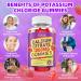 Calcium Citrate Gummies 1200mg Calcium Gummies for Women & Men Chewable Calcium Supplements Support Immune Health & Bone Strength Vegan/Sugar-Free/Gluten-Free Raspberry Flavor 120 Count Raspberry 60 Count (Pack of 2) - Buy Online on GoSupps.com