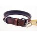 Premium Padded Leather Dog Collar - Sniffing Fans Design for All Sizes (M 28-36cm Brown) - Buy Online on GoSupps.com