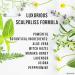 ScalpBliss Itch-Calming Serum | Organic Scalp Moisturizer with Aloe Vera Witch Hazel Manuka Honey & Peppermint Oil Soothes Dry Itchy Scalps Globally - Buy Online on GoSupps.com