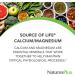 Nature's Plus Source of Life CalMag Supplement - 180 Whole Food Tablets - Buy Online on GoSupps.com