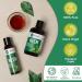 Neem Oil | Neem Oil for Plants | Pure Organic Cold Pressed 100% Virgin Neem Oil | Neem Oil for Skin Hair Nails (100) - Buy Online on GoSupps.com