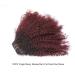 Loxxy Afro Kinkys Curly Hair Extensions Clip In - 10 Inch 4B 4C Natural Hair Clip Ins - Virgin Brazilian Human Hair for Black Women - Red Brown Ombre 1B/99J - Buy Online on GoSupps.com