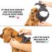Elite Paws UK Premium Metal Buckle Dog Harness - Black Medium | Adjustable, Reflective, Padded Comfort | Front/Back Lead Attachments | Soft Handle Pet Walking Vest - Buy Online on GoSupps.com