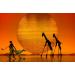 Wonderbox Experience Gift - The Lion King Broadway Musical Package | 2 Tickets + 1 Night Hotel in NYC | Easy Online Booking - Buy Online on GoSupps.com