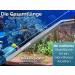 InstrumenteNRW 30 cm Curved Aquarium Terrarium Tweezers - Precision Tools for Aquascaping & Gardening - Buy Online on GoSupps.com