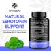TWINLEAF Serotonin & Dopamine Support Bundle - 5HTP Vitamin B6 B12 GABA L-Tyrosine & L-Theanine for Mood & Mental Well-Being - 60 Capsules Each - Made in USA - Buy Online on GoSupps.com