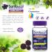 Sambucol Black Elderberry Immunity Gummies | Immune Support & Antioxidant | Quickly Relieves Cold & Flu Symptoms | Ideal for Families | Gluten Free | 30 count (Pack of 1) Black Elderberry 30 count (Pack of 1) - Buy Online on GoSupps.com