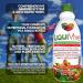 LiquiVive Liquid Vitamins Mega Nutrition | Vegetarian Daily Multivitamin | Immune Support Booster | with Vitamin C D3 B12 E K | 99.9% Vegan Non-GMO Gluten Free | 32 fl oz - Buy Online on GoSupps.com