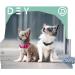Buy Dey Premium Reflective Dog Collar - Adjustable Nylon for Small & Large Dogs - Multiple Colors & Sizes - Purple S (1.5 x 27-37 cm) - Durable & Stylish Cat & Puppy Neck Strap - Buy Online on GoSupps.com