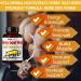 Horny Goat Weed Capsules - 8250mg Maximum Strength with Maca, Tribulus, Ashwagandha, Tongkat Ali, Panax Ginseng - 90 Count - 3 Month Supply - Men & Women - Buy Online on GoSupps.com