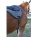 Intrepid International Comfort Plus Bareback Pad - Navy (21-3/4 x 22) - Buy Online on GoSupps.com