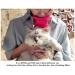 PETCYY Cat Brush Shedding Grooming | Soft Massage Tongue Brush for Cats | Mimics Mama Cat Licking | Comforting Pet Gift (Rose Red) - Buy Online on GoSupps.com