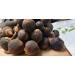 GORONTULA Fruit Azanza Garckeana Organic Sweet Silky Snot Apple Kayamata Various Sizes 30 Pieces - Buy Online on GoSupps.com