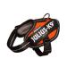 Julius-K9 IDC Powair Dog Harness Size: 2XS / Baby 2 Orange Orange 2XS/Baby 2