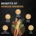 Cheong Kwan Jang Koreselect Energy Sticks - 10 Pack (0.34 fl oz each) | Premium Korean Ginseng - Buy Online on GoSupps.com