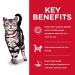 Hill's Science Diet Adult Indoor Cat Food - Optimal Nutrition & Healthy Weight - Buy Online on GoSupps.com