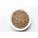 Organic Rye Berries 10 lbs - Non-GMO, Kosher, Raw Bulk Seeds from USA - Buy Online on GoSupps.com