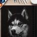 Premium Black Paper Sketchbook - 9x12 110lb Spiral Bound Mixed Media Sketch Pad for Gel Pens, Pencils, Chalk, Oil Pastels - Pack of 1 - Buy Online on GoSupps.com