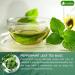 Lavendium Premium 55 Peppermint Tea Bags 100% Natural & Pure Peppermint Leaves. Loose Leaf Peppermint Herbal Tea. Peppermint Leaf Tea. No Sugar No Caffeine No Gluten Vegan. Peppermint 55 Bags - Buy Online on GoSupps.com