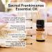 Rocky Mountain Oils Sacred Frankincense Essential Oil - Premium Aromatherapy for Diffusers Massage Therapy & Skin Care - 5ml - Buy Online on GoSupps.com
