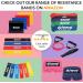 Resistance Band with Handles + Door Anchor & Exercise Guide | Heavy Strength Tubes for Women/Men | Stretch Resistant Bands - Buy Online on GoSupps.com