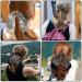 6 Pcs Bowknot Hair Bands Scarves - Double Layer Chiffon Elastic Hair Ties for Women & Girls - Ponytail Holders & Hairprint Bandana - Buy Online on GoSupps.com