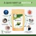 Organic Matcha Powder - Powerful Antioxidant - Premium Quality Japanese Matcha Tea - Green Food Coloring - Kitchen and - Buy Online on GoSupps.com