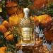 GUERLAIN Aqua Allegoria Mandarine Basilic Forte EDP 75ml Citrus Floral Orange 2.54 Fl Oz (Pack of 1) - Buy Online on GoSupps.com