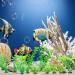 Rikudim Realistic Plastic Aquarium Plants - Small Artificial Decorations for Vibrant Aquariums - Buy Online on GoSupps.com