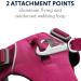 Lupine Pet Front Range Dog Harness - Reflective Padded Tear-Free - Hibiscus Pink Size L/XL - Buy Online on GoSupps.com