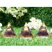 Xiannvxi Amethyst Orgonite Pyramid - Purple Crystal Lotus for Reiki Energy Spiritual Growth & Esoteric Gifts - Buy Online on GoSupps.com