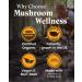 Mushroom Wellness Everyday 10: Organic 10-in-1 Mushroom Capsules with Lion's Mane, Shiitake, Reishi, Turkey Tail & More, Mushroom Powder Supplement, Immune & Nervous System Support, 90 Vegan Capsules - Buy Online on GoSupps.com