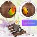 BIPY 16 PCS Bird Parrot Toys Hanging Bells Ball Swing Natural Coconut Birds Cage with Ladder Toy Pet Birds Stand Chewing Perches Wooden Toys for Parrots Parakeets Budgie Cockatiels Macaws 16PCS - Buy Online on GoSupps.com