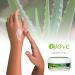 Ejove Aloe Vera Snail Slime Cream - Hydrating Skin Treatment for All Skin Types | Shop Internationally - Buy Online on GoSupps.com