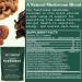 Betterbrand BetterMushrooms Mushroom Gummies for Gut Health, Metabolism, Energy & Focus - Lion's Mane, Cordyceps, Chaga & Maitake - Immune Support (1 Bottle) - Buy Online on GoSupps.com