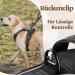 Rabbitgoo Dog Harness for Small Dogs - Adjustable No-Choke Reflective & Padded Chest Harness - Anti-Pull with Handle - Black (1 Pack) - Buy Online on GoSupps.com