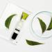 Botanical Lab Neem Leaf & Clove Blemish Treatment Gel 20ml - with witch hazel + salicylic acid - Buy Online on GoSupps.com