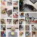Waterproof Silicone Septillar Bowl Underlay for Cats & Dogs | Slip-Proof Feed Pad | Dark Gray 52x30 cm - Buy Online on GoSupps.com