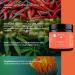 Buy Warming Pain-Relieving Hemp Ointment Cream Balm | Organic Chilli Extract Hemp & Rosemary | 50ml | Vegan | 500mg - Fast Relief for Muscles & Joints - Buy Online on GoSupps.com